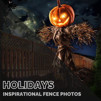 Holidays Photos